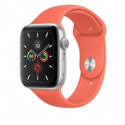Apple Watch 5 GPS 44mm Silver Aluminum Case With Clementine Sport Band