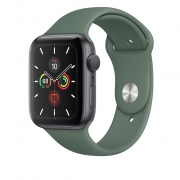 Apple Watch 5 GPS 44mm Space Gray Aluminum Case With Pine Green Sport Band