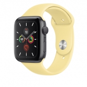 ساعت هوشمند اپل واچ 5 مدل Space Gray Aluminum Case با دستبند لیمویی اسپرتی Apple Watch 5 GPS 44mm Space Gray Aluminum Case With Lemon Cream Sport Band