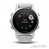 Garmin Fenix 5S 010-01685-00 Sport Smartwatch
