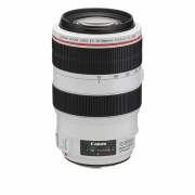 Canon EF 70-300mm f/4-5.6L IS USM Lens