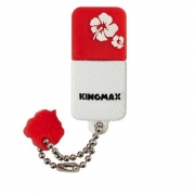 Kingmax UI-01 Flash Memory - 4GB