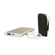 شارژر همراه کملیون مدل PS638 با ظرفیت 4000 میلیآمپر ساعت Camelion PS638 4000mAh Power Bank