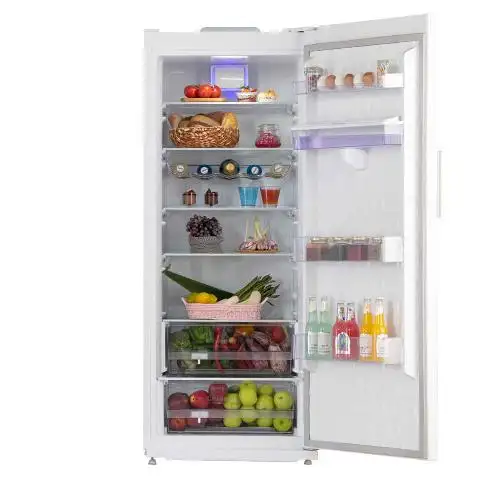 یخچال 20 فوت امرسان مدل RH20D Emersun RH20D Refrigerator