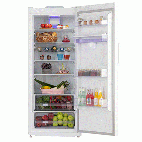 Emersun RH16D Refrigerator