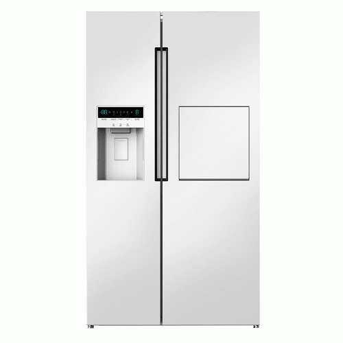 SNOWA S8-2261S Refrigerator