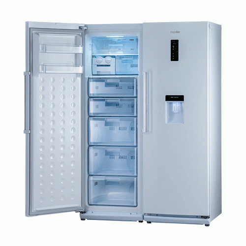 یخچال و فریزر دوقلو 40 فوت دیپوینت مدل D5i Depoint D5i Refrigerator