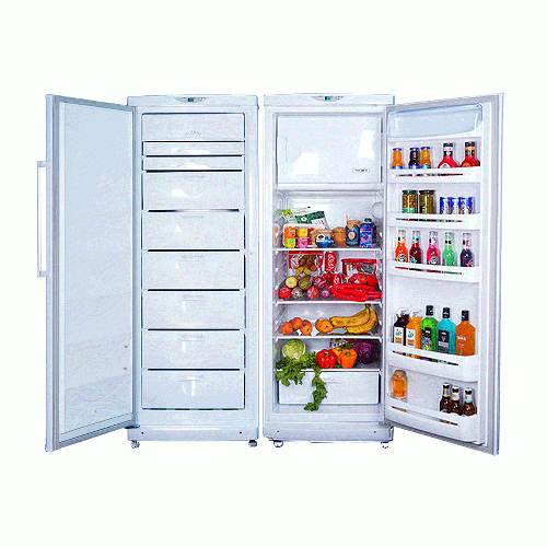 Pars REFST170-FRZNF170 Refrigerator
