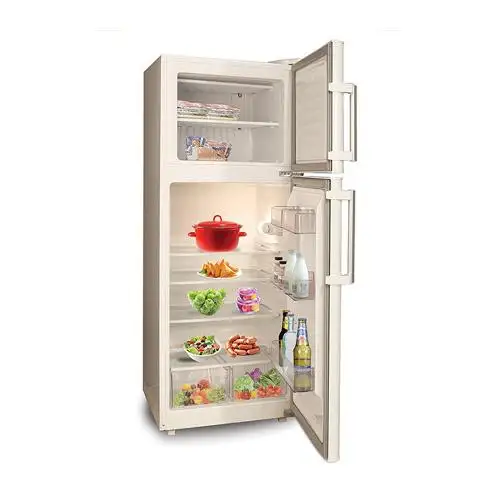 یخچال و فریزر 14 فوت پلادیوم مدل 14 Pladium 14 Refrigerator