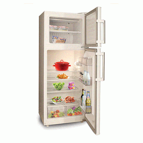 Pladium 14 Refrigerator