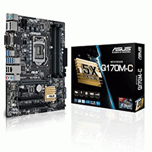 ASUS Q170 MC Motherboard Used