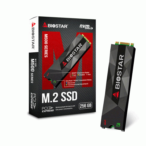 Biostar SSD M2 M500 256GB Used